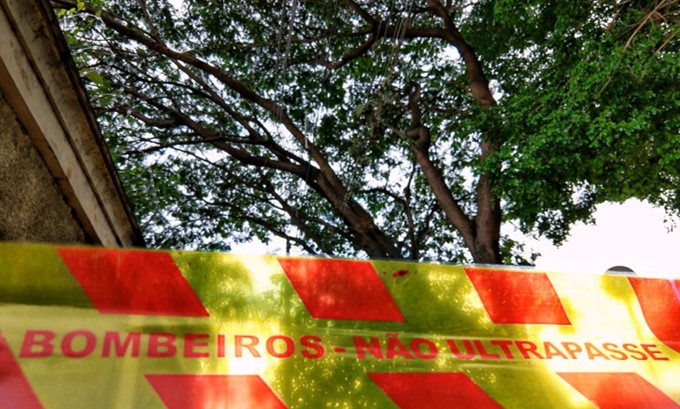 Tronco de árvore enverga e ameaça parte do muro do Cemitério da Saudade, em Piracicaba