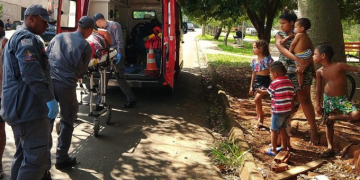 Foto: Wagner Romano / PIRANOT