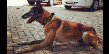Foto: Polícia Militar de Piracicaba.