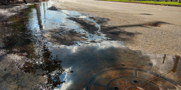 Foto: Wagner Romano / PIRANOT