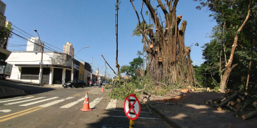 Foto: Wagner Romano / PIRANOT