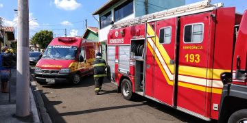 Foto: Wagner Romano / PIRANOT.