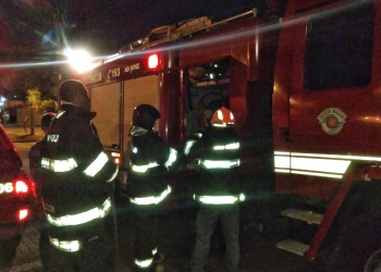 Foto: Wagner Romano / PIRANOT.