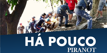 Foto: Wagner Romano / PIRANOT