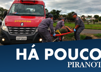 Foto: Wagner Romano / PIRANOT