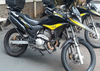 Foto: Guarda Civil Municipal.