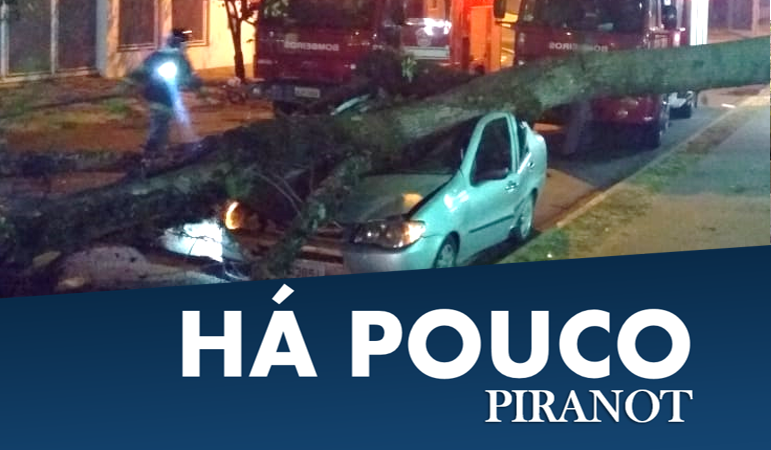 Árvore cai sobre dois carros e interdita rua de Piracicaba