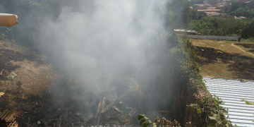 Foto: Wagner Romano / PIRANOT