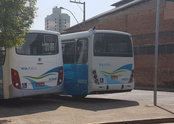 Foto: Junior Cardoso / PIRANOT