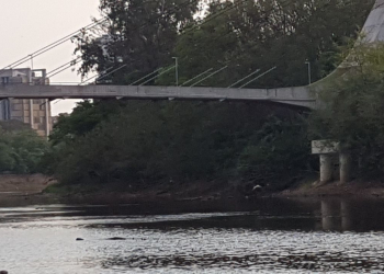 Foto: Junior Cardoso / PIRANOT