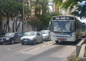 Foto: Junior Cardoso / PIRANOT