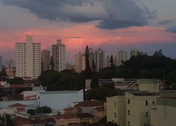 Foto: Junior Cardoso / PIRANOT