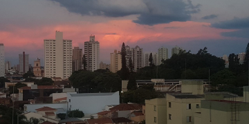 Foto: Junior Cardoso / PIRANOT