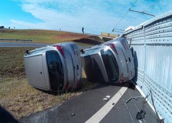 Foto: Wagner Romano / PIRANOT