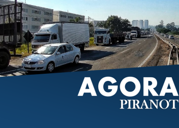 Foto: Wagner Romano/ PIRANOT