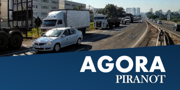 Foto: Wagner Romano/ PIRANOT