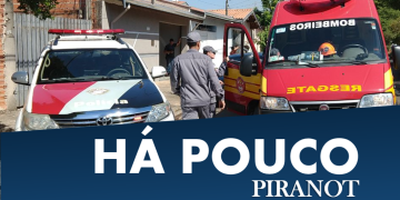 Foto: Wagner Romano / PIRANOT