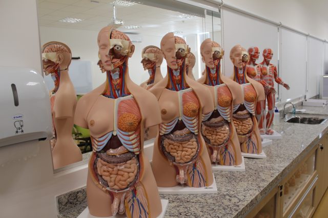 Inscrições para o 1º processo seletivo de medicina em Piracicaba já estão abertas