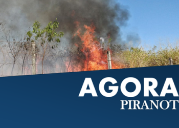 Foto: Wagner Romano/PIRANOT