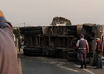 Foto: Wagner Romano/PIRANOT