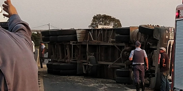 Foto: Wagner Romano/PIRANOT