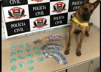 Foto: DISE (Delegacia de Investigações Sobre Entorpecentes)