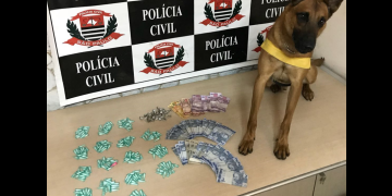 Foto: DISE (Delegacia de Investigações Sobre Entorpecentes)