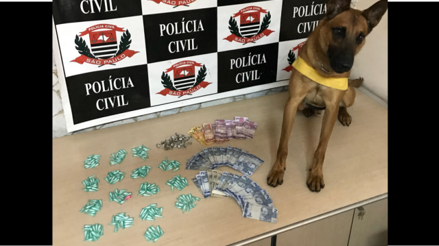 Traficante é detido na manhã desta quinta-feira (19), em Piracicaba