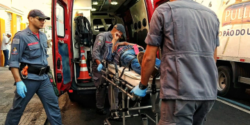 Foto: Wagner Romano/PIRANOT