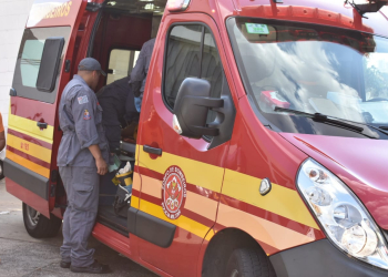 Foto: Wagner Romano/PIRANOT