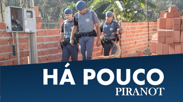 piracicaba