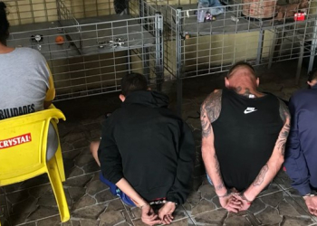 Foto: DISE (Delegacia de Investigações Sobre Entorpecentes)