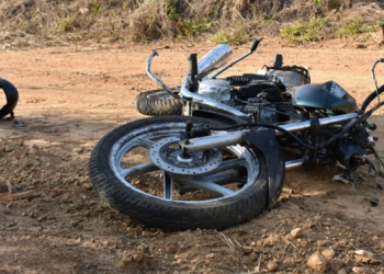 Foto: Wagner Romano/PIRANOT