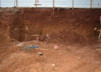 Foto: Wagner Romano / PIRANOT