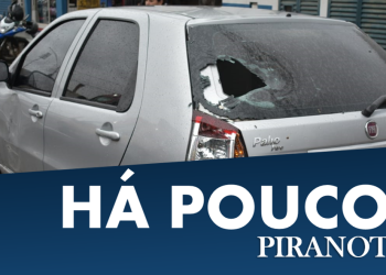 Foto: Wagner Romano/PIRANOT