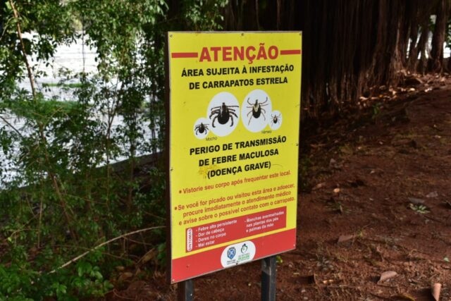 Jovem morre por febre maculosa em Piracicaba e cidade registra segundo óbito pela doença em 2023 placa carrapato infestação