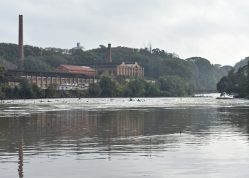 Foto: Wagner Romano/PIRANOT