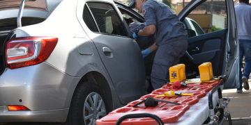 Foto: Wagner Romano / PIRANOT