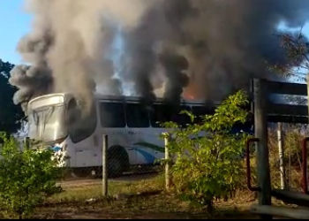 Foto: Karla Priscila/Você no PIRANOT