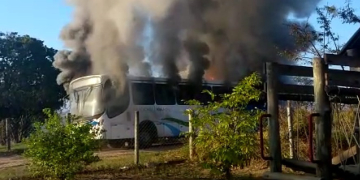 Foto: Karla Priscila/Você no PIRANOT