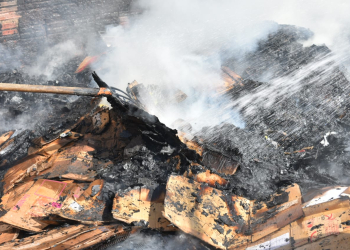 Foto: Wagner Romano / PIRANOT