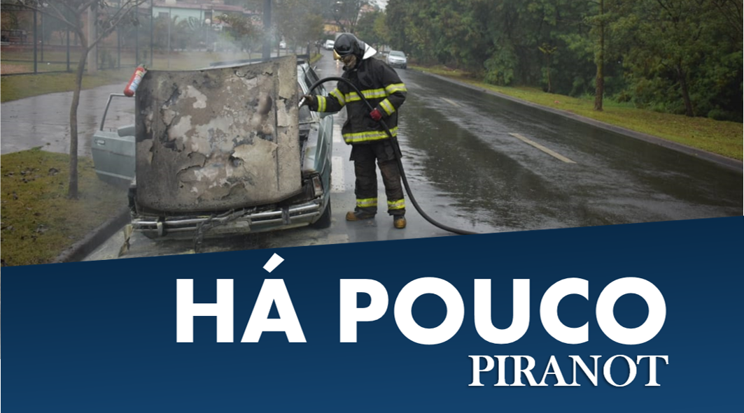 Foto: Wagner Romano/PIRANOT