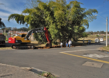 Fotos: Justino Lucente