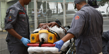 Foto: Wagner Romano/PIRANOT