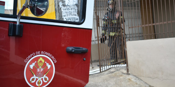 Foto: Wagner Romano/PIRANOT