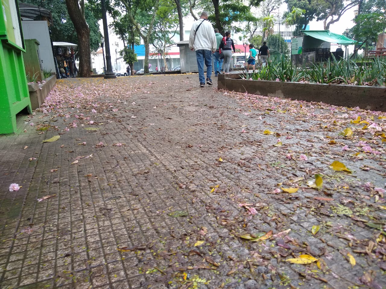 Vereador de Piracicaba sugere refletores contra pombos na praça José Bonifácio