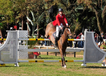 Piracicabano de 17 anos representará o Brasil no Campeonato Sulamericano de Hipismo