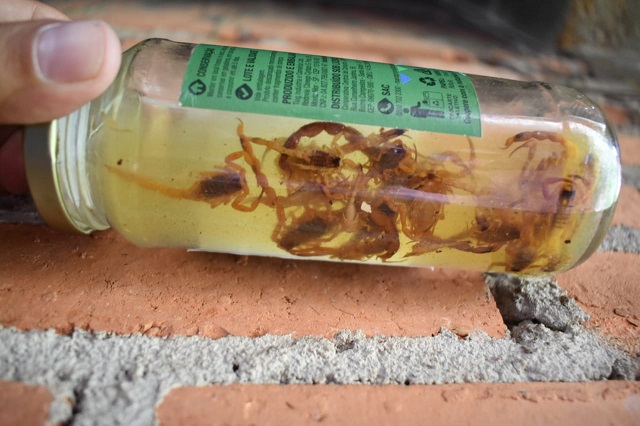 Construção abandonada causa transtornos a moradores de Piracicaba