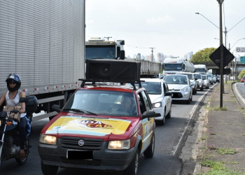 Foto: Wagner Romano/PIRANOT