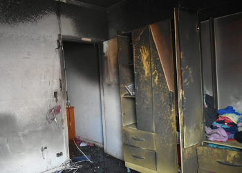 Foto: Wagner Romano/PIRANOT